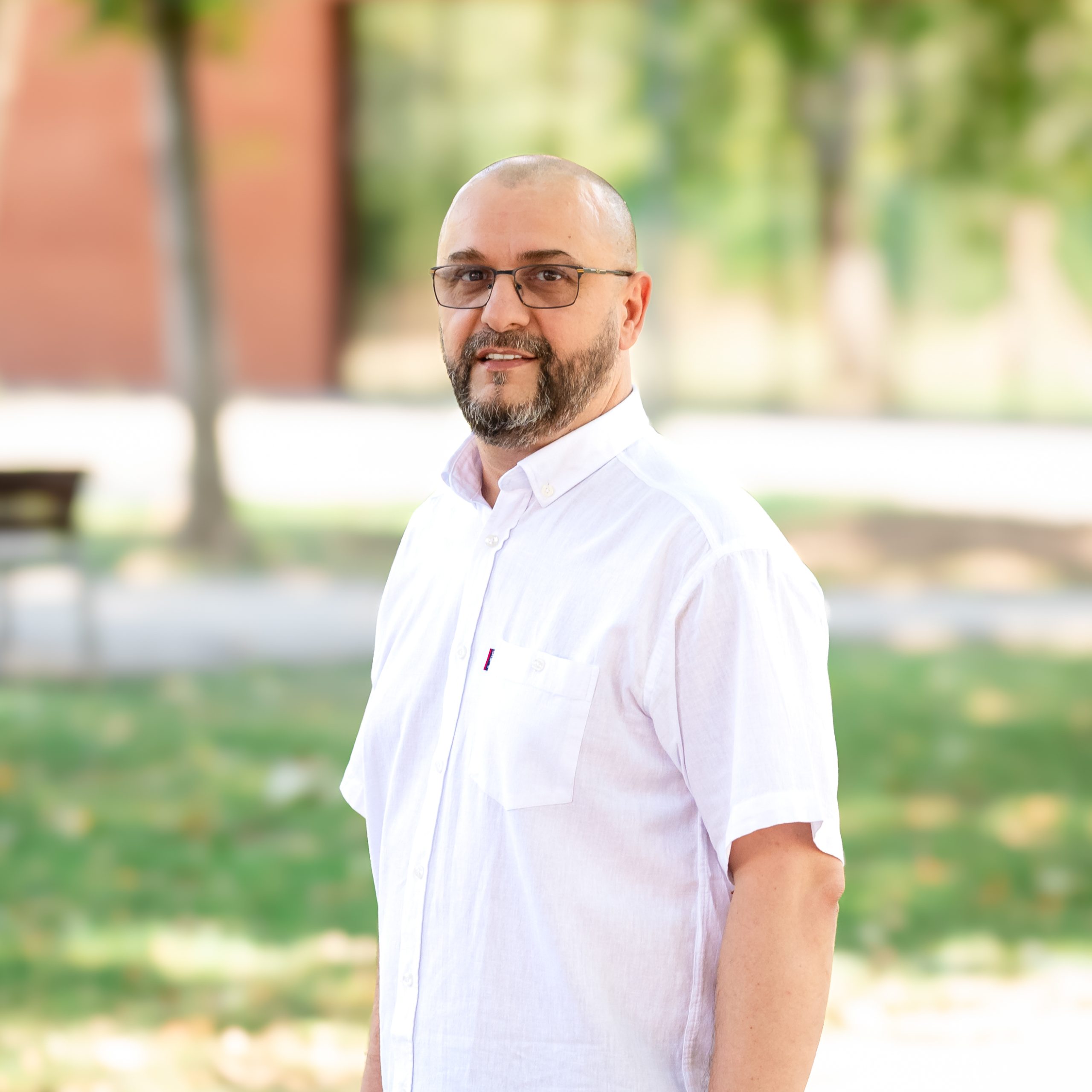 Mihai LAPOȘI